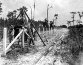 Fence construction at Highlands Hammock State Park - Highlands County, Florida