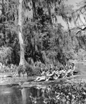 "Alligator" boat - Wakulla Springs, Florida