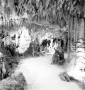 View inside Florida Caverns State Park