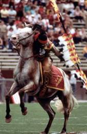 FSU Mascot, "Chief Osceola," riding Renegade before a game at Doak Campbell Stadium: Tallahassee, Florida .