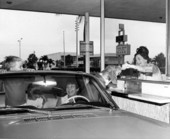 Dog receiving a treat at the Coral Ridge National Bank drive thru window - Fort Lauderdale, Florida.