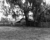 Barn at Salt Springs - Salt Springs, Florida .