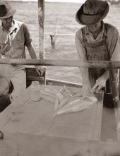 Fisherman preparing fish for market - Riviera Beach, Florida.