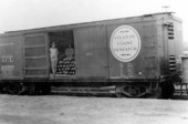 Atlantic Coast Line car loaded with watermelons from Columbia County