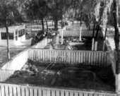 Visitors at alligator farm - Tampa, Florida.