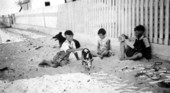 Roberts family children with pet pig "Alice" - Saint George Island, Florida