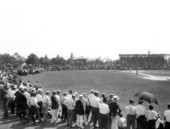 Crowd watching a baseball game in MacFarlane Park - Tampa, Florida.