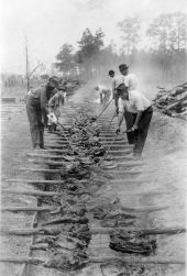 Cooking barbecue at a Tin Can Tourists convention - Arcadia, Florida.