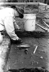 Archaeologist excavating the site of Hernando de Soto's 1539 winter encampment - Tallahassee, Florida.