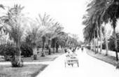 People riding in a pedicab - Palm Beach, Florida