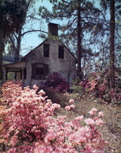 View showing former slave quarters of "The Columns" in Tallahassee, Florida.