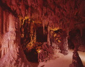 Cave formations at Florida Caverns State Park in Marianna.