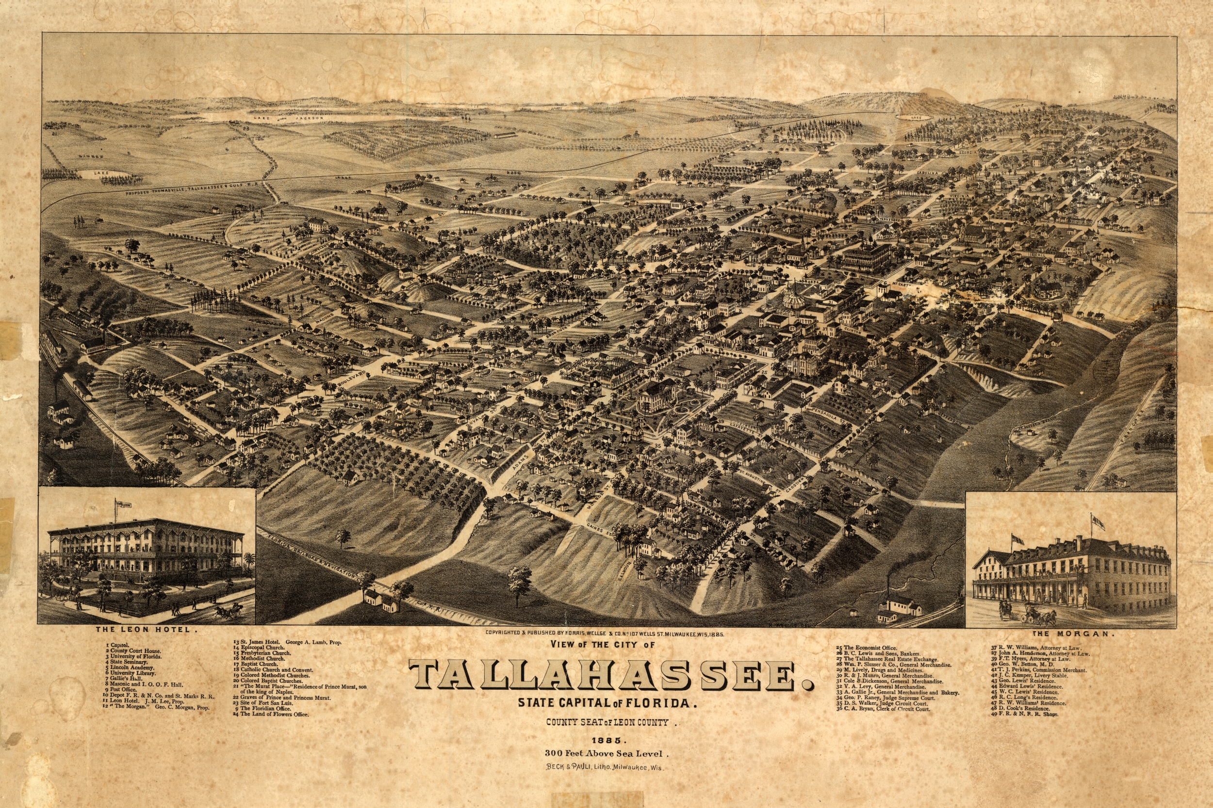 Bird's-Eye View of Tallahassee, 1885