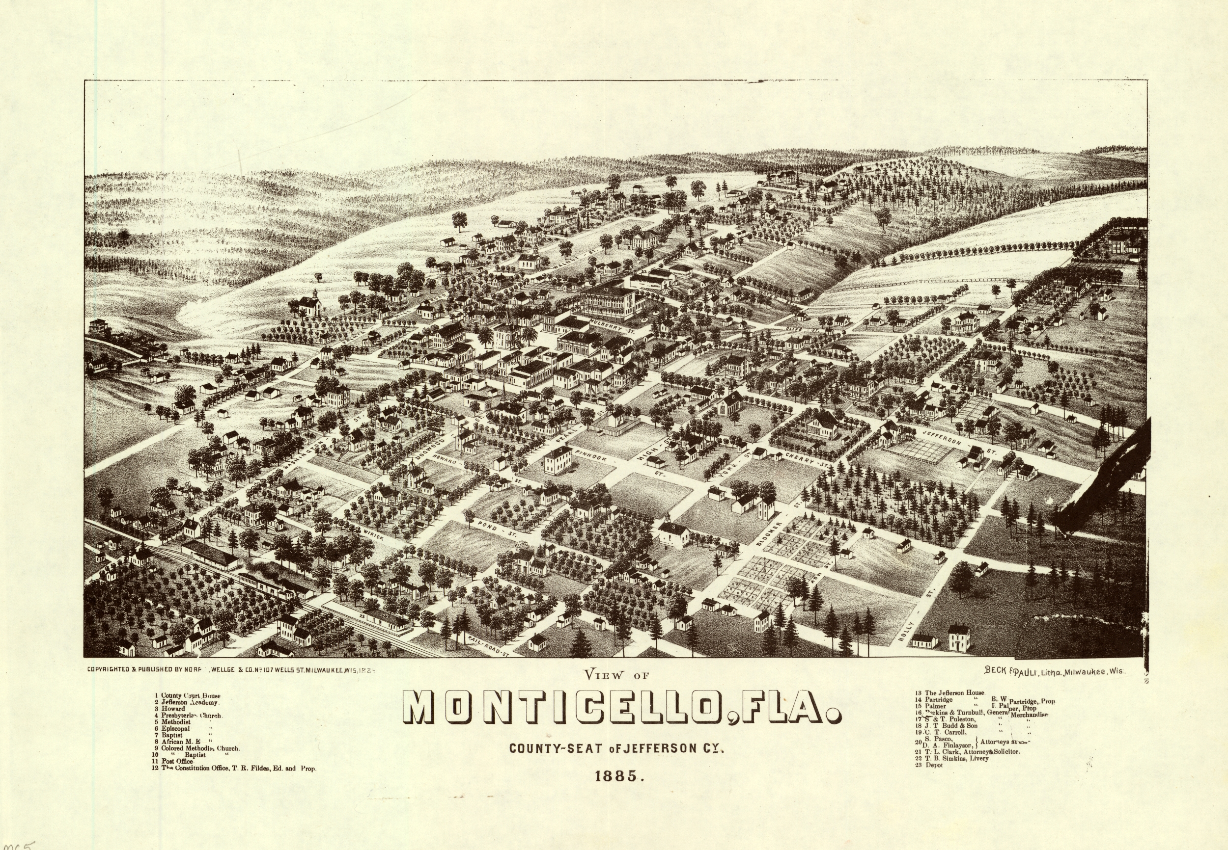 Bird's-Eye View of Monticello, 1885