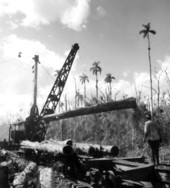 A derrick loading cypress logs onto a railroad car - Copeland, Florida