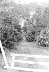 Abandoned right-of-way - Codys Corner, Florida